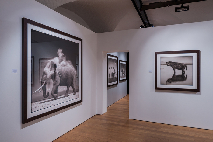 Nick Brandt
