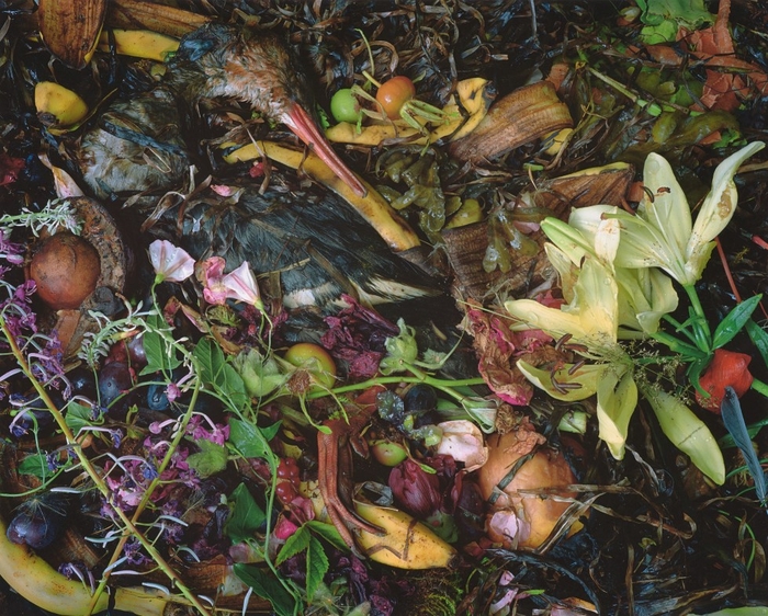 Seminar: AV NATUR