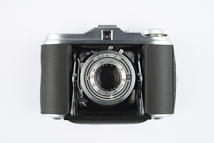 NMFF.T.006179