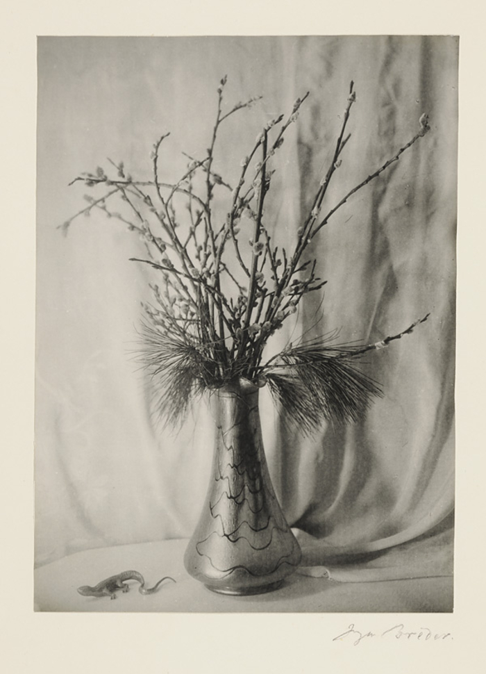Inga Breder 