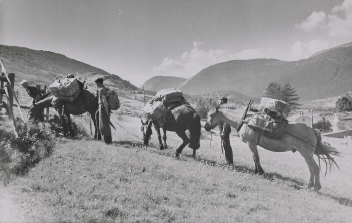 
Elisabeth Meyer, Two men and three horses with pack traversing a field. Mountains in the background.  Photographs from Setesdal around 1940-42.Gelatin silver print, baryta, NMFF.002574-30