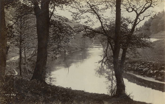 Frank Meadow Sutcliffe, Landskap med trær og elv, ca. 1893, 12,7 x 19,9 cm, NMFF.002762