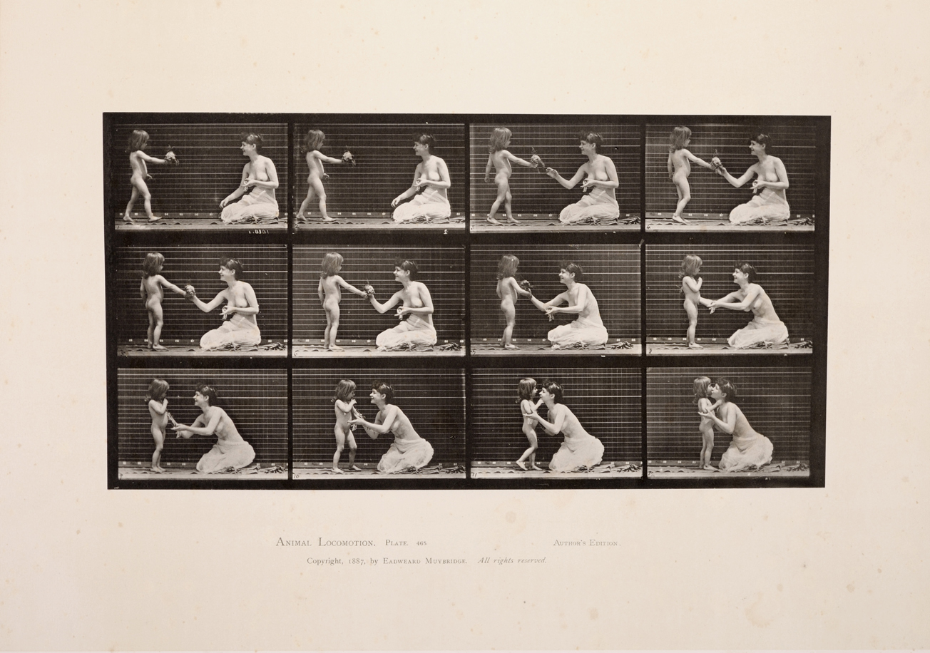 Eadweard Muybridge, From the series Animal Locomotion, Plate 465, 1886 – 1887. Property of Preus museum collection.