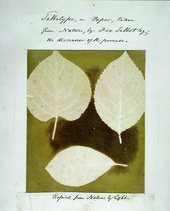 William Henry Fox Talbot, Copied from Nature by Light, 1839. Property of Preus museum collection.