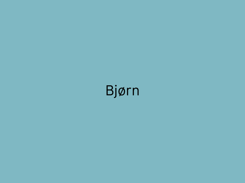 Bjørn