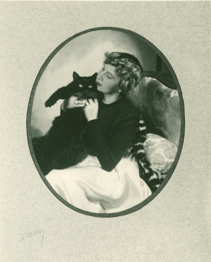 Svart katt