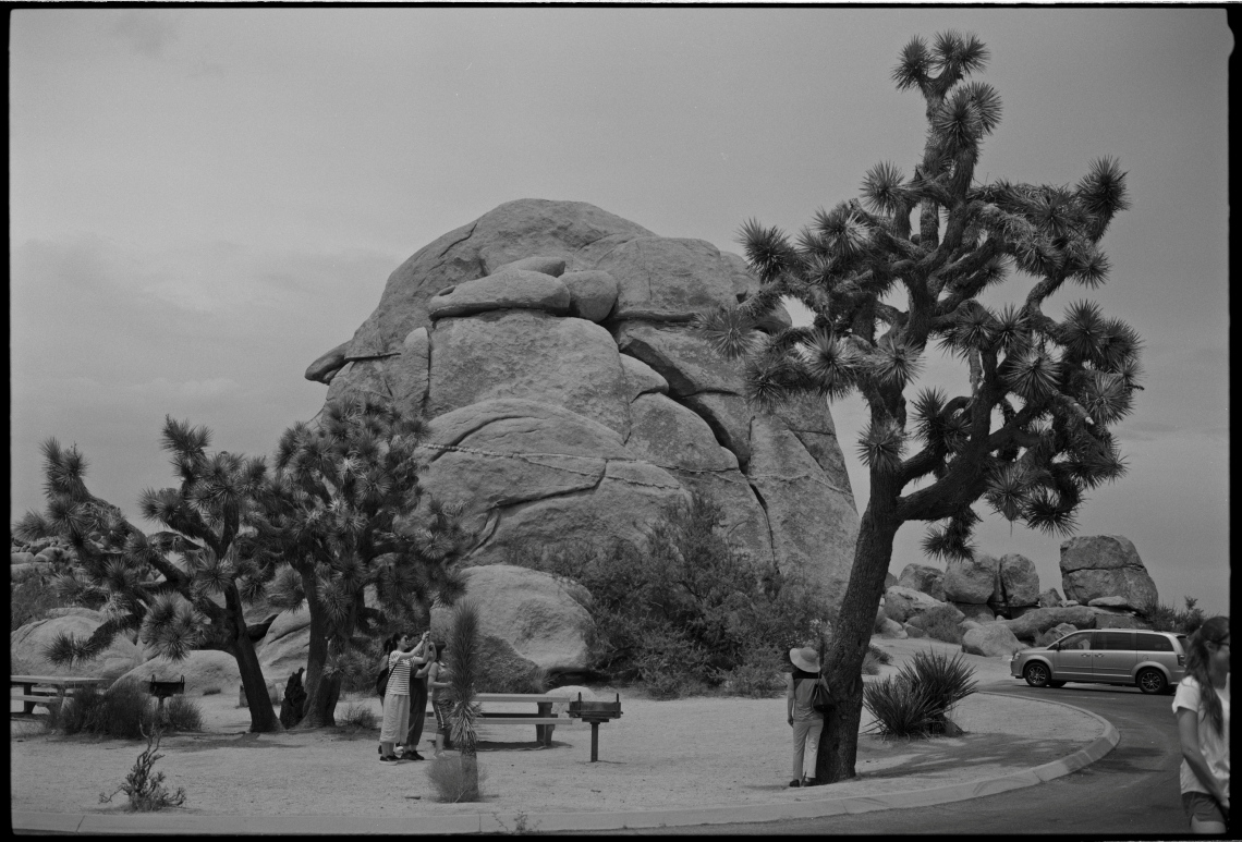 © Christine Hansen, Turister, Joshua Tree, 2018. Analgogt fotografi (digitalisert for nett). Preus museums samling.