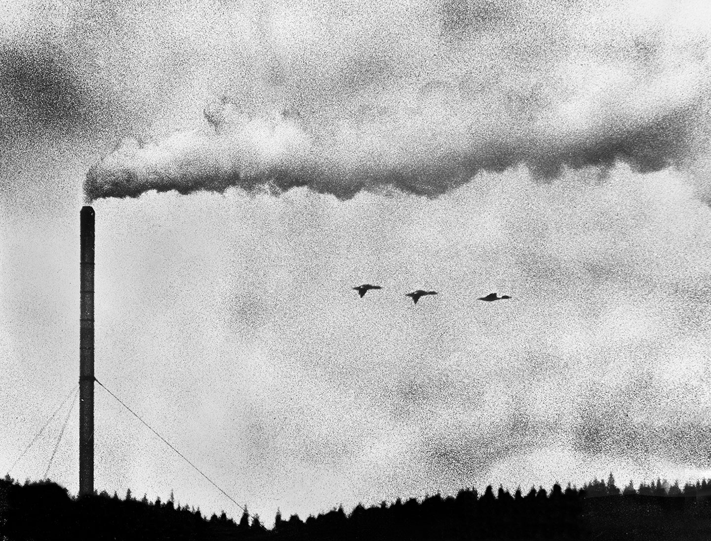 © Pål Hermansen, The Smoke and the Birds, 1973. Awarded in the UNEP Environmental Photography Contest. Silver gelatine on baryta. Preus Museum collection.