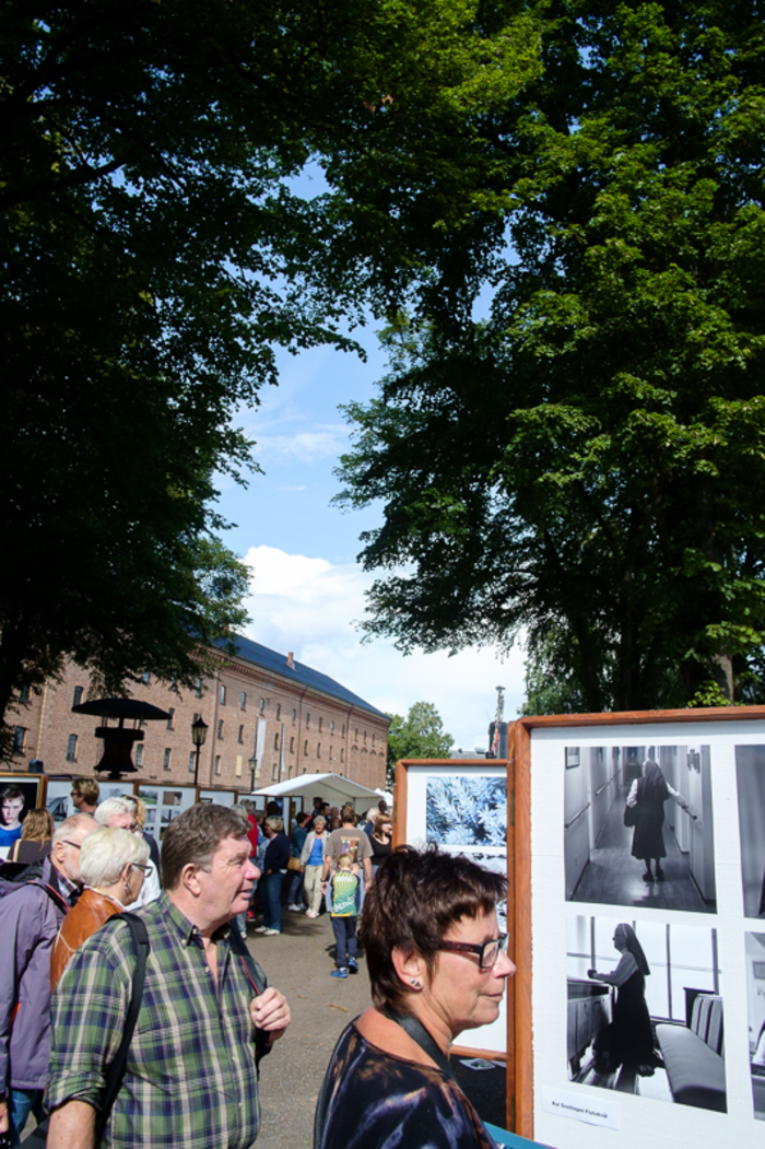 Juryert utstilling (foto: Andreas Harvik/Preus museum)