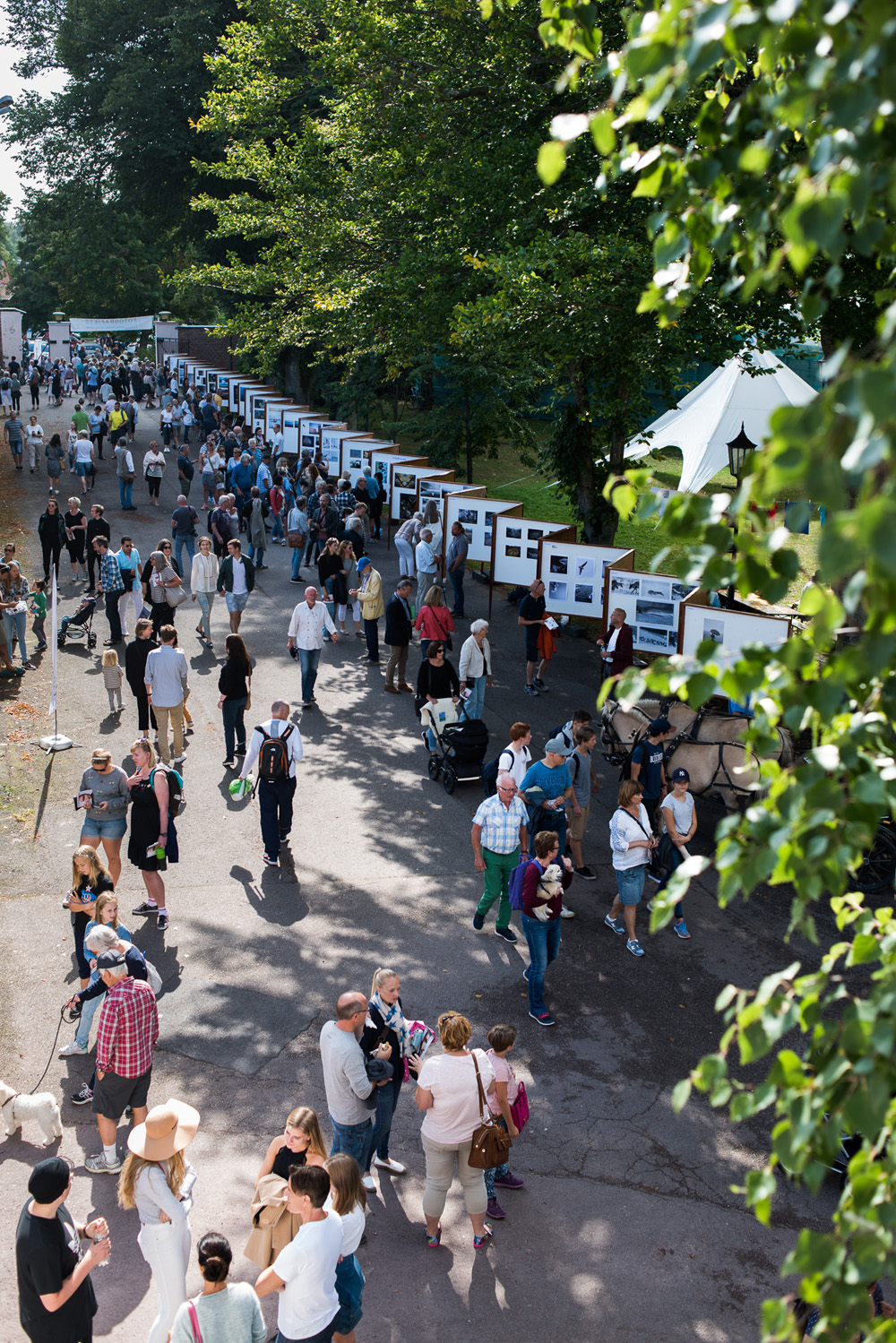 Fotografiets dag 2016